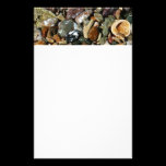 Shells, Rocks and Coral Stationery