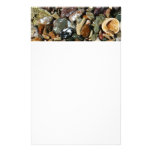 Shells, Rocks and Coral Stationery