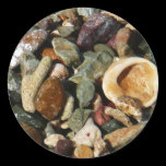 Shells, Rocks and Coral Sticker
