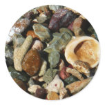 Shells, Rocks and Coral Sticker