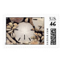 Shells Stamp