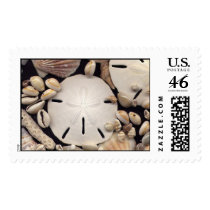 Shells Stamp stamps