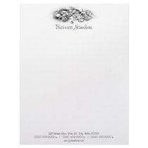 Shells & Starfish Letterhead
