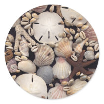 Shells stickers