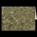 Shells under Rippling Water Card