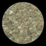 Shells under Rippling Water Sticker
