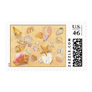 Shellscape 1 stamp