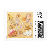 Shellscape 2 stamps