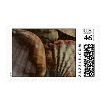 Shellscape Stamp by MidnightAkita Shellscape Stamp