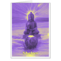 Shelter cards
