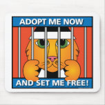 Shelter-Cat Mouse Mat