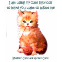 Shelter Cat One Sided Shirt by Jaenne Shelter Cat One Sided Shirt