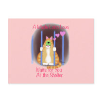Shelter Cat Post Card