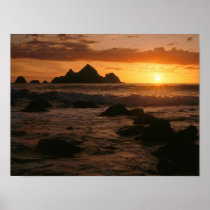 Shelter Cove Print