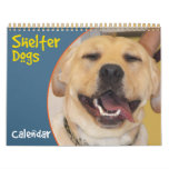 Shelter Dogs 2012 Calendar