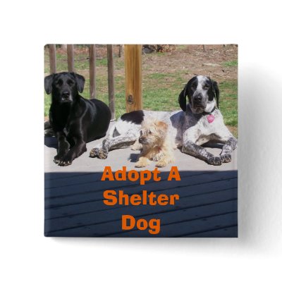 Shelter Dogs Button by sunsett76