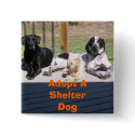 Shelter Dogs Button by sunsett76 Shelter Dogs Button