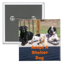Shelter Dogs Button