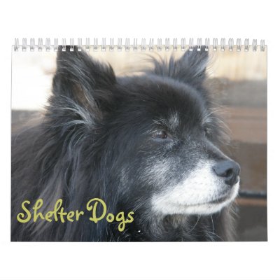 Shelter Dogs Calendar Shelter Dogs Calendar
