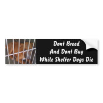 Shelter Dogs Die Bumper Stickers