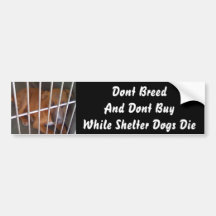 Shelter Dogs Die Bumper Stickers