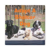 Shelter Dogs Magnet by sunsett76 Shelter Dogs Magnet