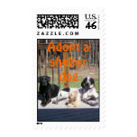 Shelter Dogs Postage
