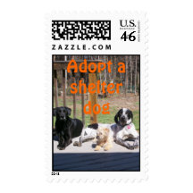 Shelter Dogs Postage