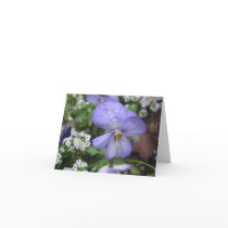 Shelter Me - Notecard by lesbecker Shelter Me - Notecard