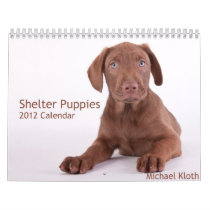 Shelter Puppies 2012 Wall Calendar