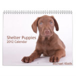 Shelter Puppies 2012 Wall Calendar