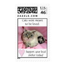 Shelter Support Stamp