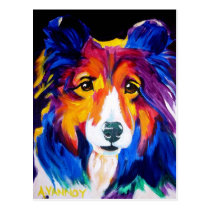 Sheltie #1 postcards