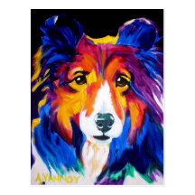 Sheltie #1 postcard