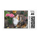 Sheltie and Lillies postage by cspotrun413 Sheltie and Lillies postage
