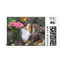 Sheltie and Lillies postage