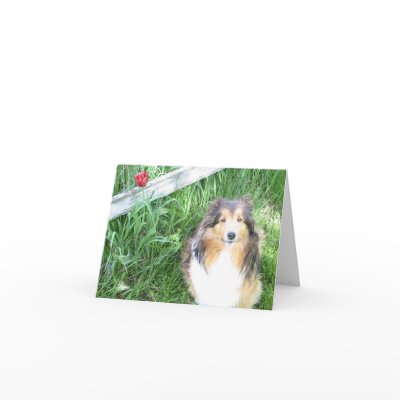 Sheltie and Tulip Note Card by TheTornDress