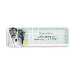 Sheltie Bath Bi Blue Labels