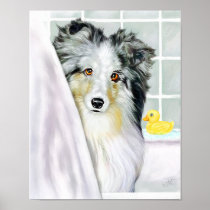 Sheltie Bath Blue Merle Print