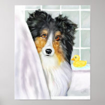 Sheltie Bath Tri Color Posters