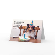 Sheltie Birthday Card