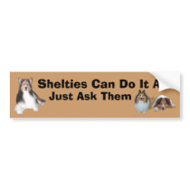 Sheltie Bumper Sticker bumper stickers by normagolden Sheltie Bumper Sticker bumper stickers