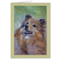 Sheltie Cards