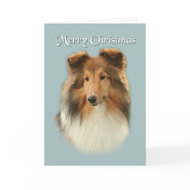 Sheltie Christmas Card cards