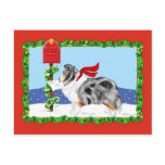 Sheltie Christmas Mail Blue Merle Postcards
