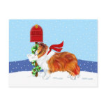 Sheltie Christmas Mail Sable Post Card