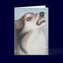 Sheltie Dog Greeting Card