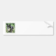 Sheltie Dog Picture Bumper Sticker