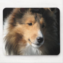 Sheltie face mousepads