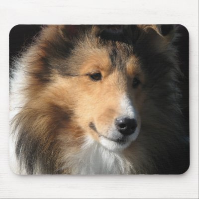 Sheltie face Mousepad by showdogs